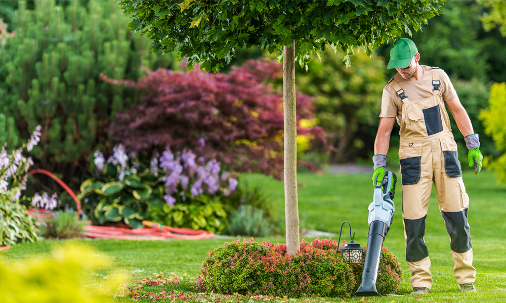 Leaf Blowers