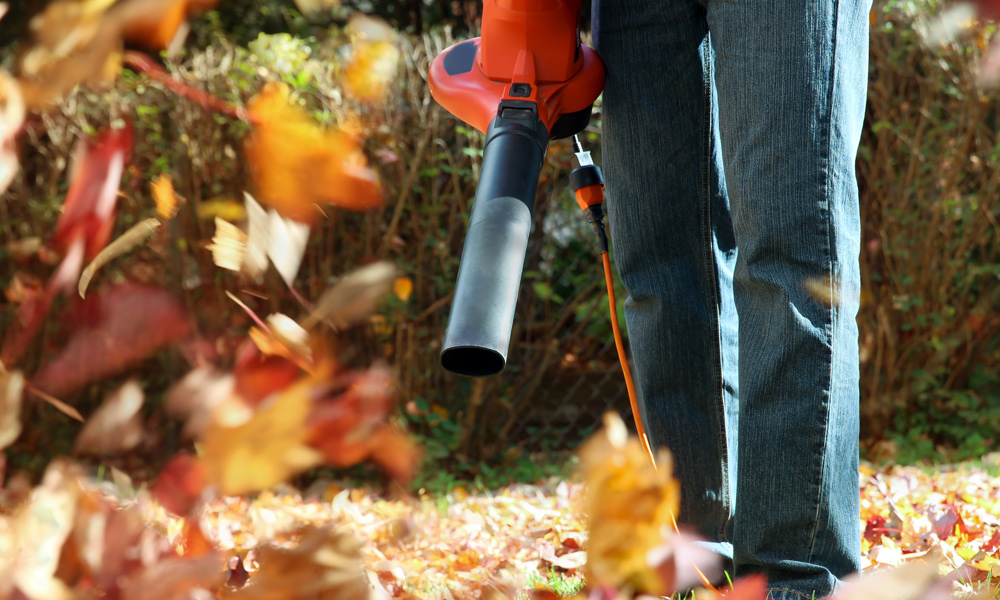 leaf blower blowing the leaves away