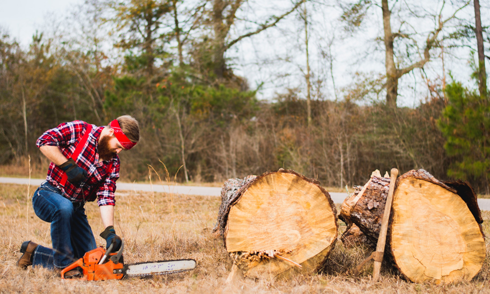 Professional Chainsaws