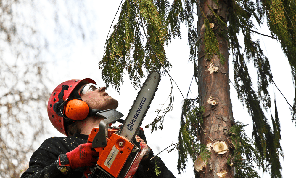 Small Chainsaw