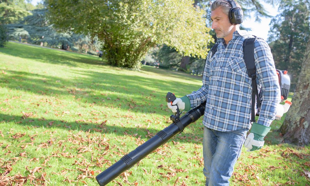 Backpack Leaf Blowers