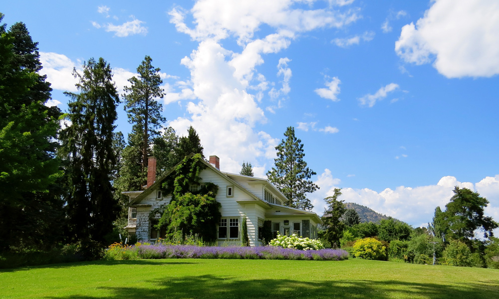 long green grass with a house in the background