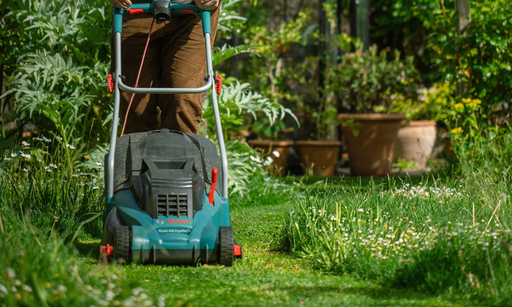 Electric lawn mower cutting grass