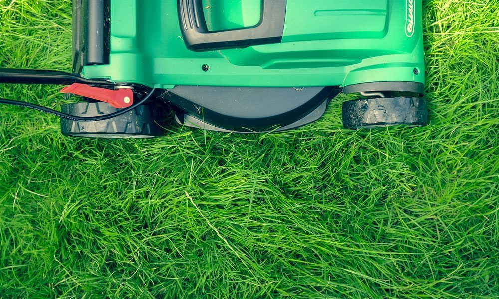 Lawn mower sitting on grass