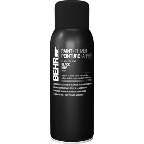 BEHR Interior/Exterior Spray Paint