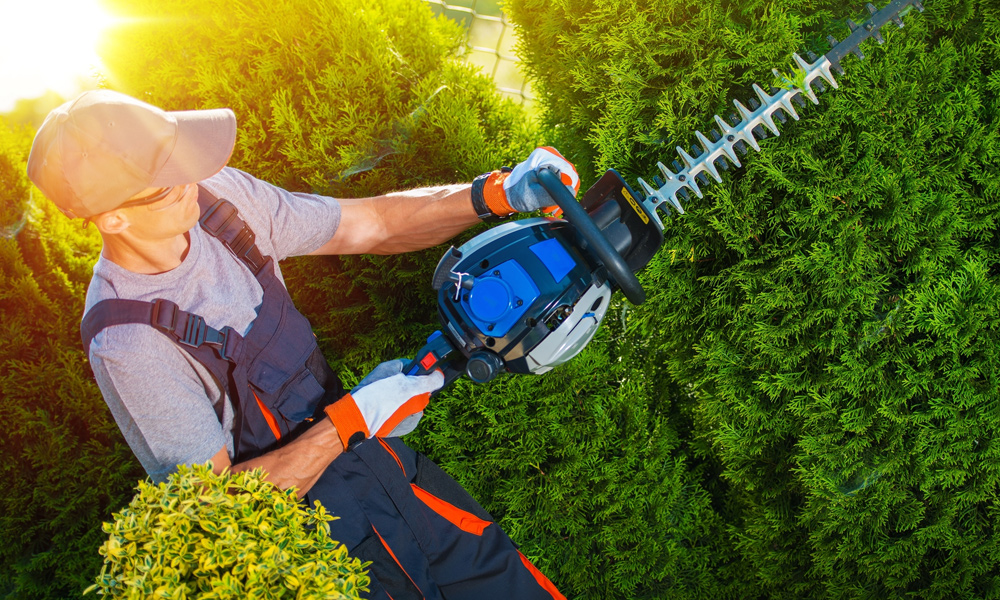 Cordless Hedge Trimmers