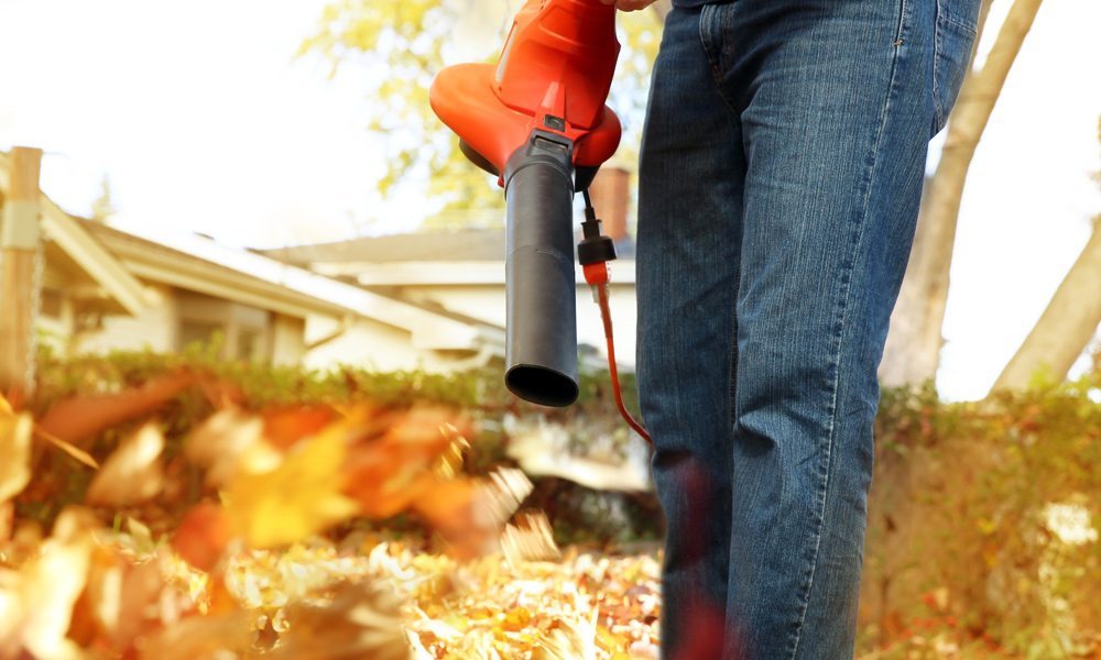 Electric Leaf Blowers