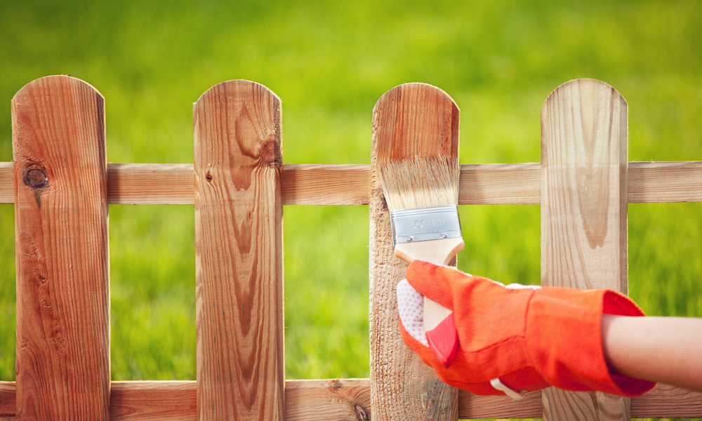 Fence Stains