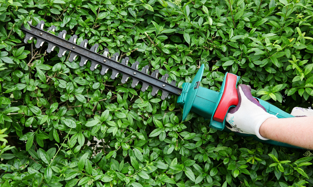 Hedge Trimmers