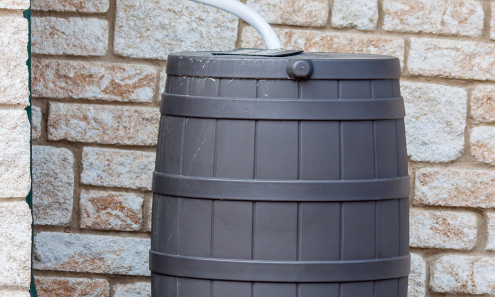 rain barrel