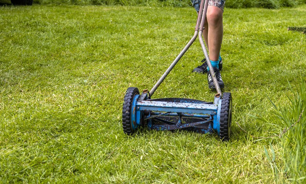 Reel mower cutting grass