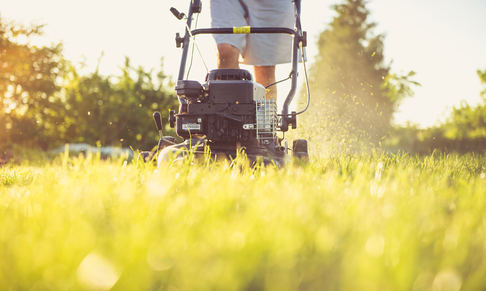 Self Propelled Lawn Mowers 2022