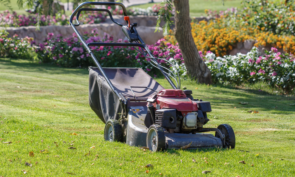 Walk Behind Mowers