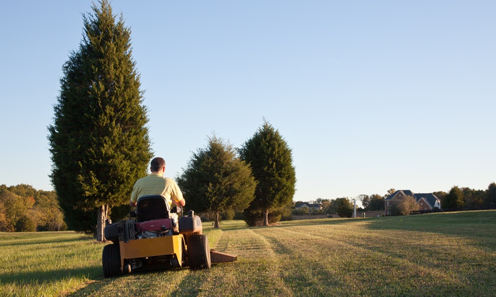 zero turn mower cutting grass