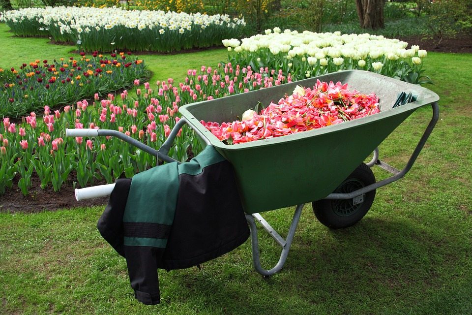 Big Wheelbarrow full of Flowers