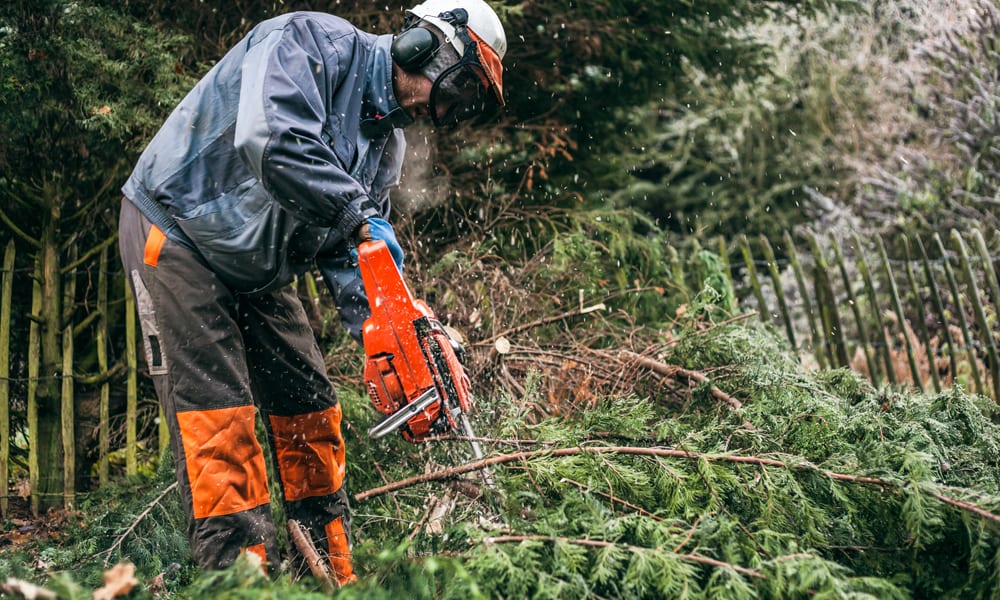 A workman wearing chainsaw chaps