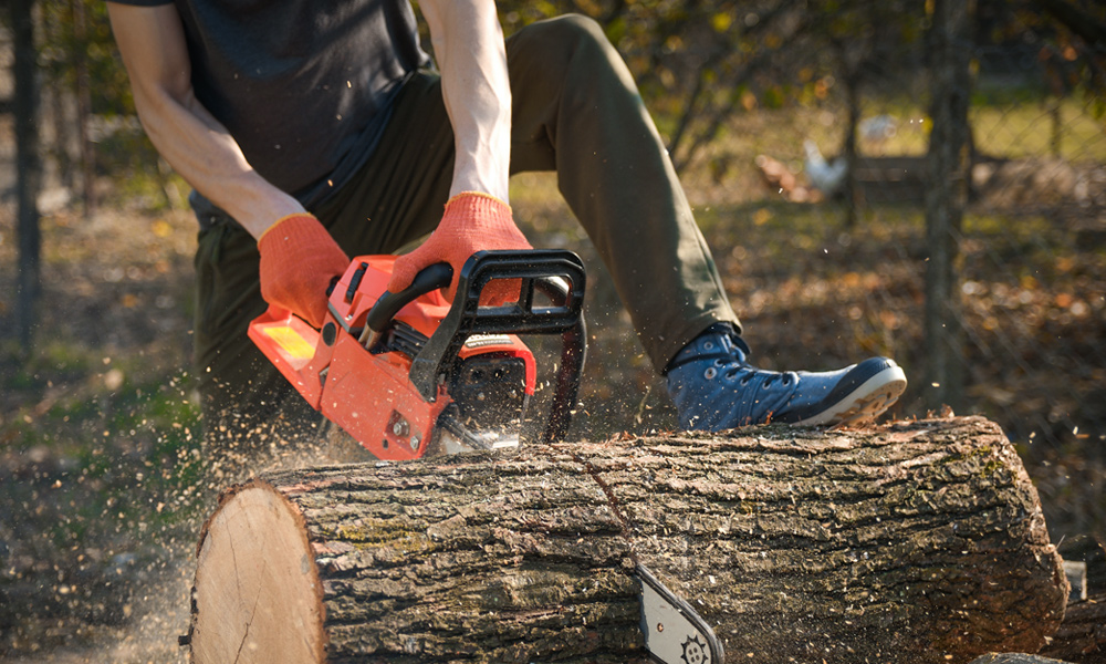 Chainsaw cutting through a tree trunk