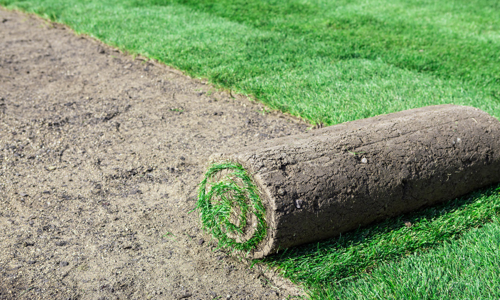 half a roll out turf of grass 