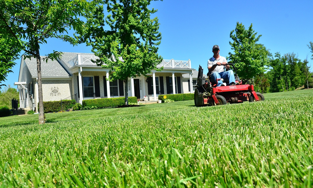 zero turn mower cutting over grass