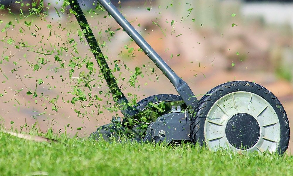 Do Reel Mowers Work?