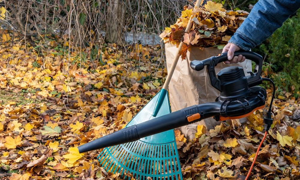 Someone holding a corded leaf blower