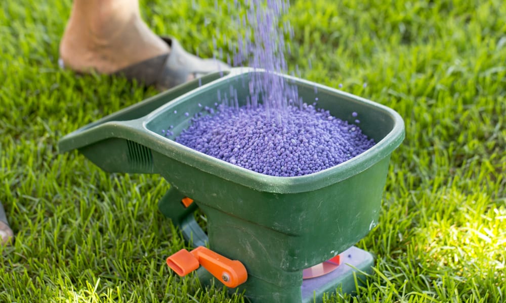 Fertilizer going into a Spreader