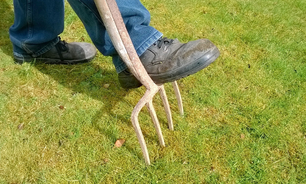 garden fork going into grass