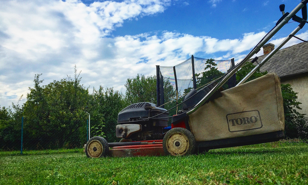 lawn mower on fresh cut lawn