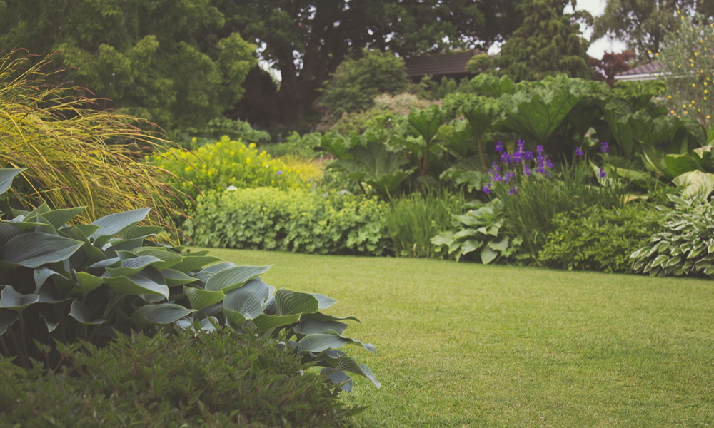 a garden with all kinds of flowers in it.