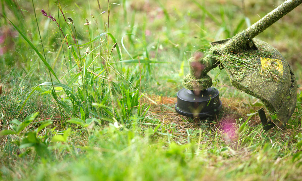 string trimmer covered in grass