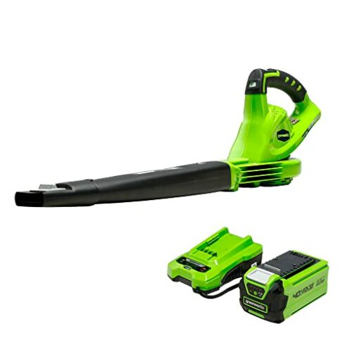 Greenworks 24252 Cordless Leaf Blower