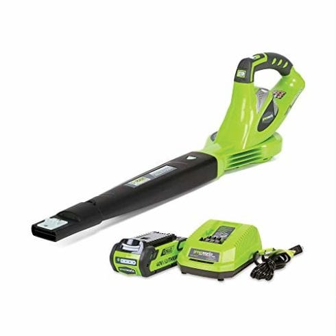 Greenworks 24252 Cordless Leaf Blower