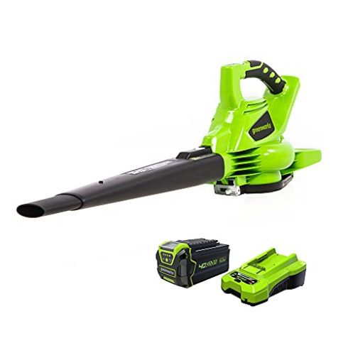 Greenworks 40V Cordless Blower