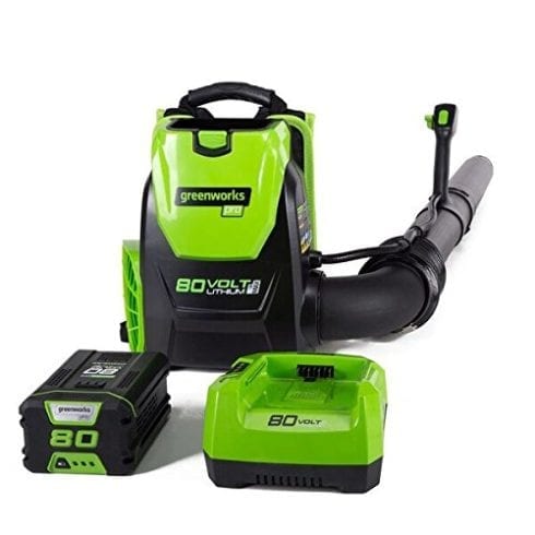 Greenworks 80V Cordless Backpack