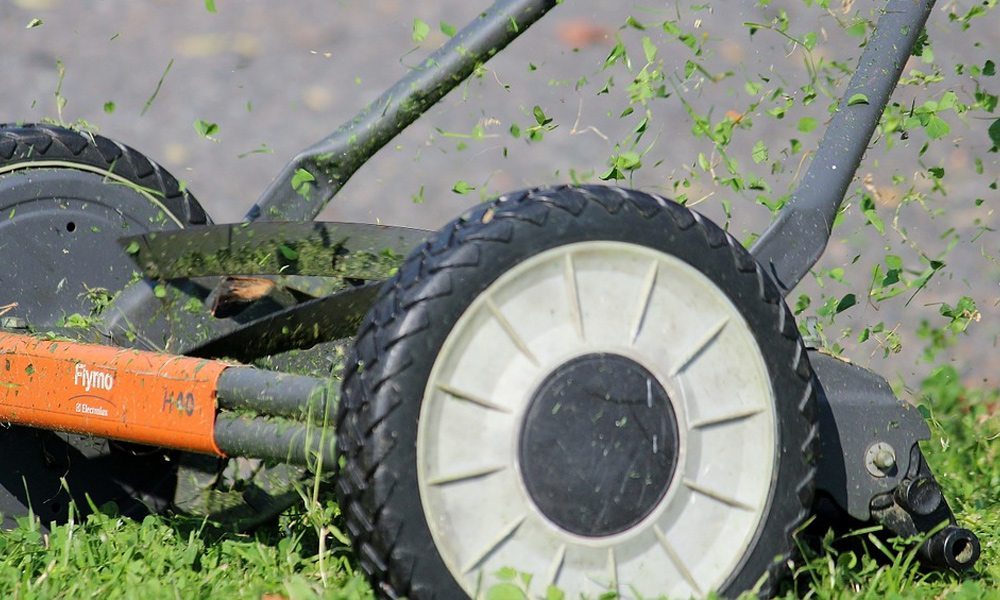 Reel mower up close