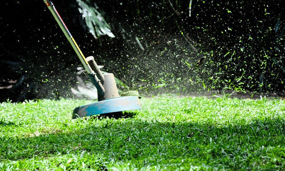 String trimmer cutting grass