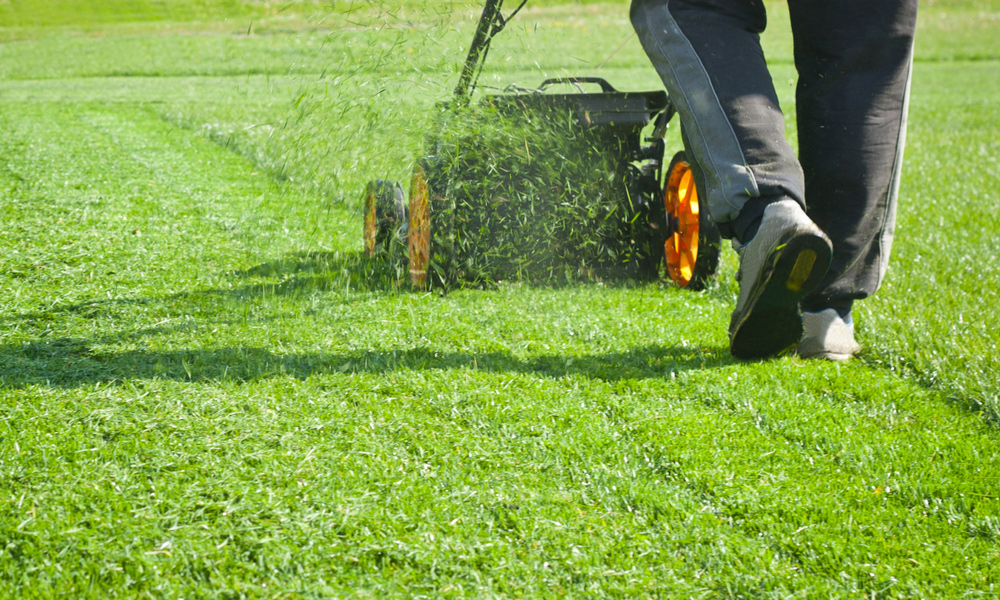 push mower cutting grass