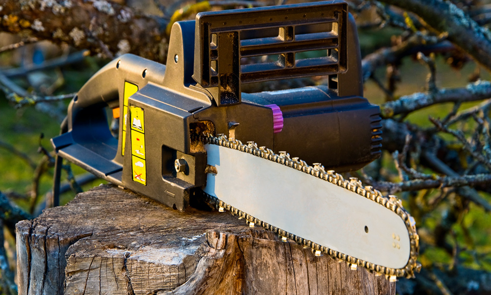 Electric chainsaw resting on a tree trunk