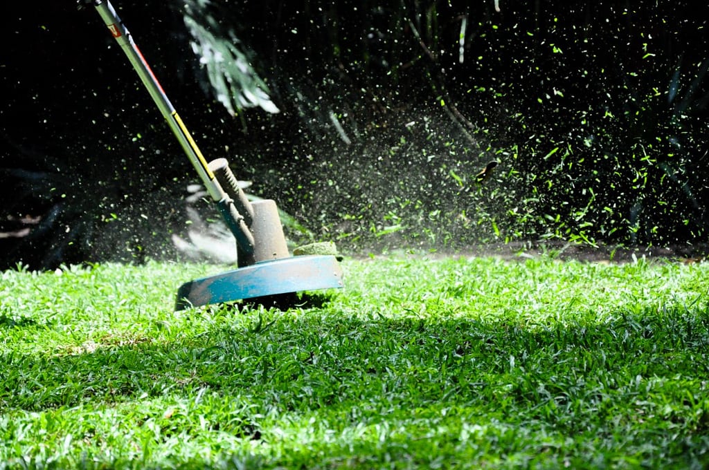 A string trimmer cutting through grass