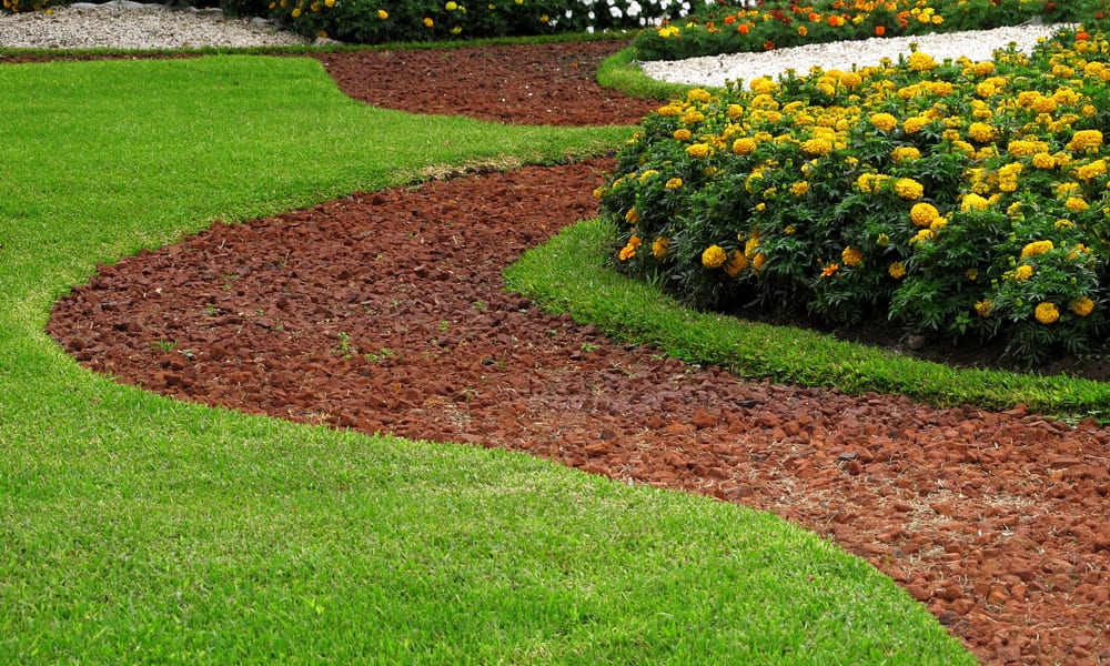 green lawn edgers in a garden