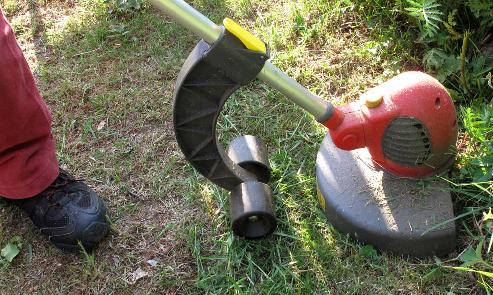 Lawn Edger cutting grass