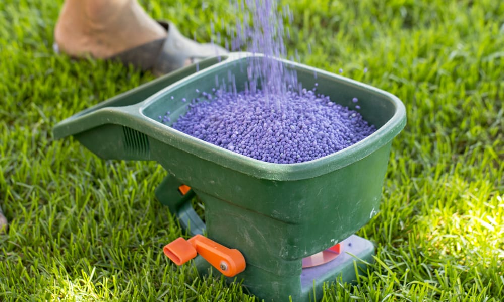 lawn fertilizer Granulars