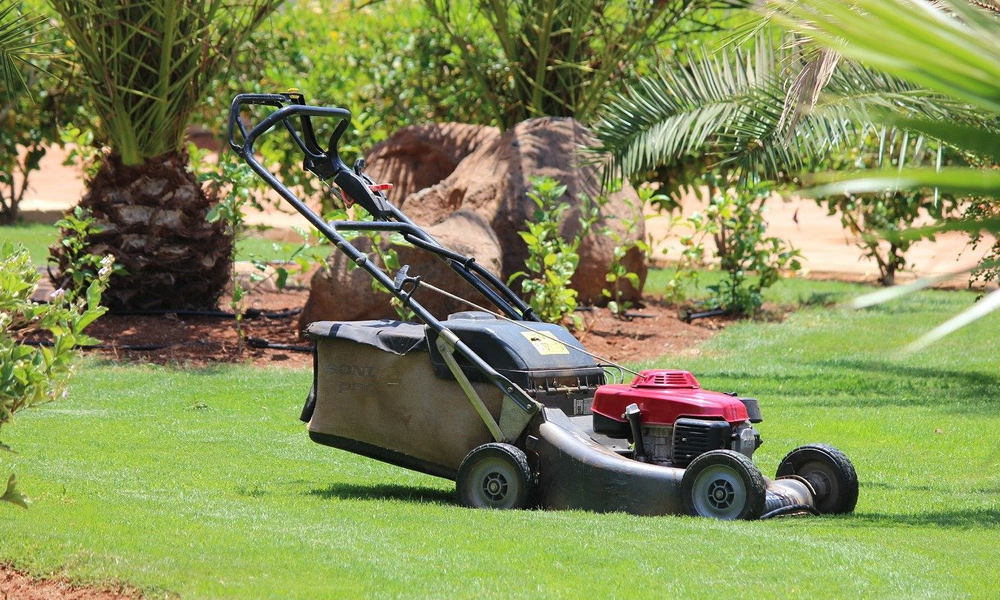 Lawn mower on a grass lawn 