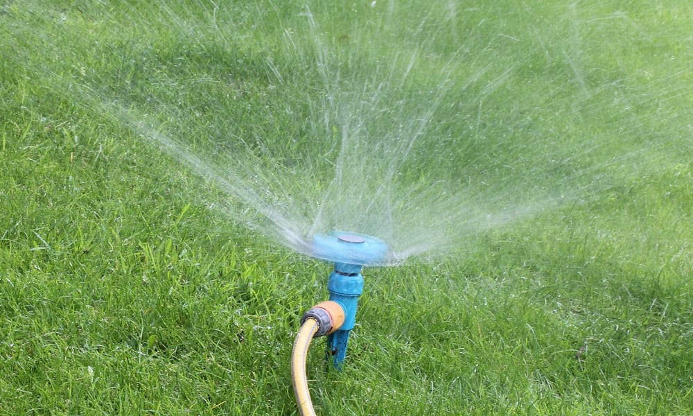 Lawn Sprinkle on a lawn