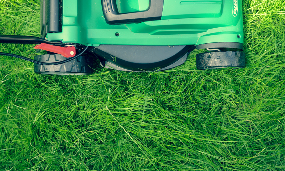 lawn mower cutting tall spring grass