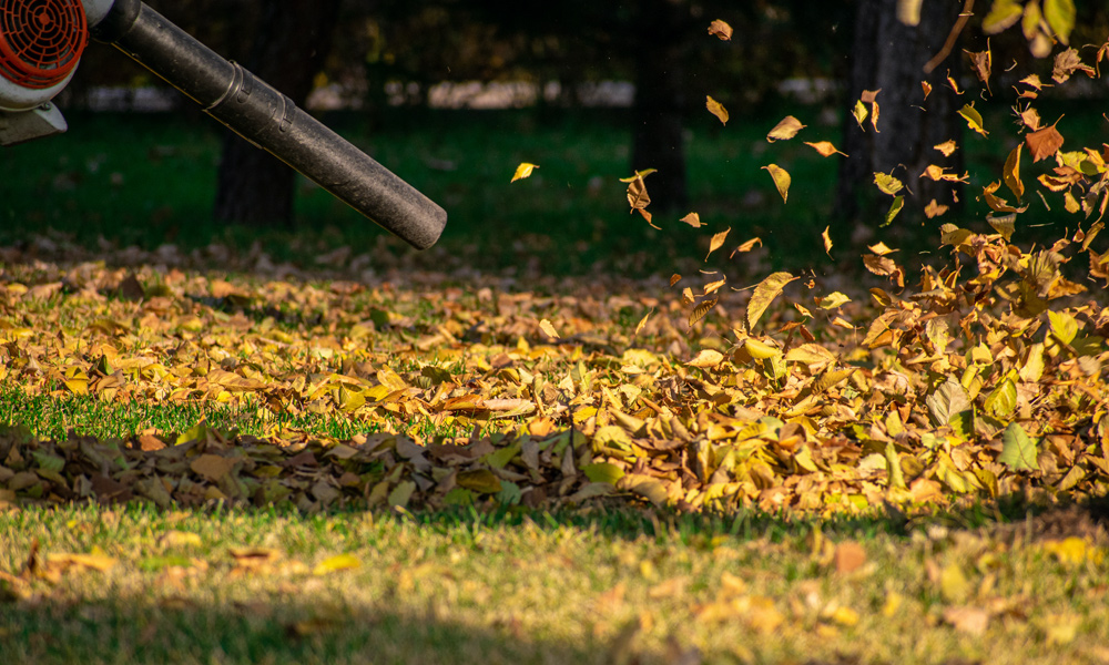 leaf blower nozzle blower leaves