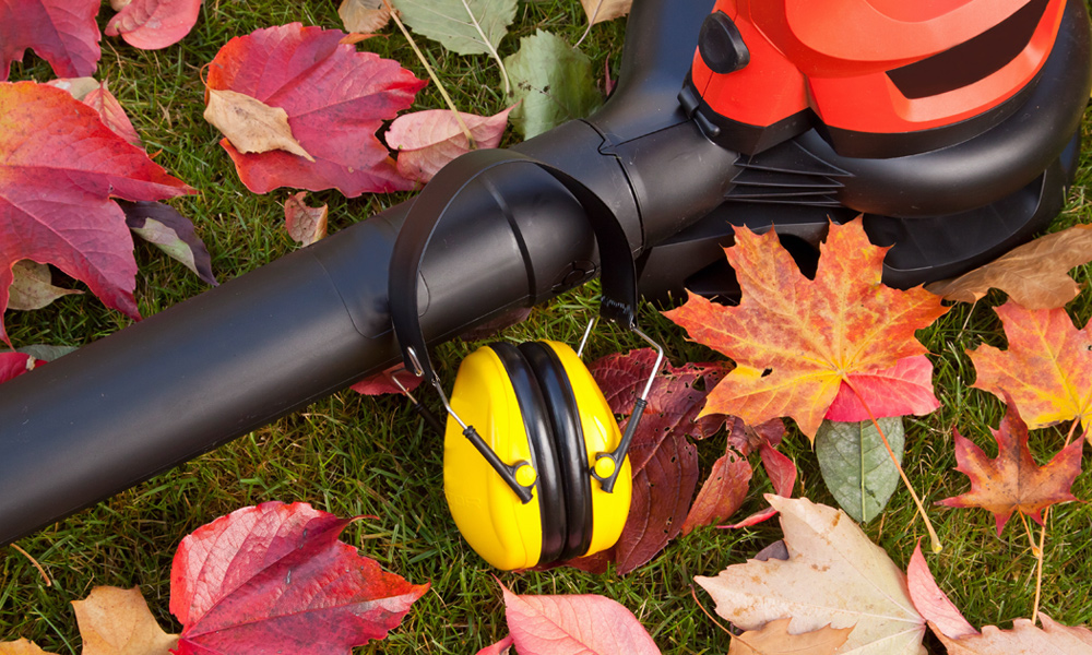 leaf blower in leaves