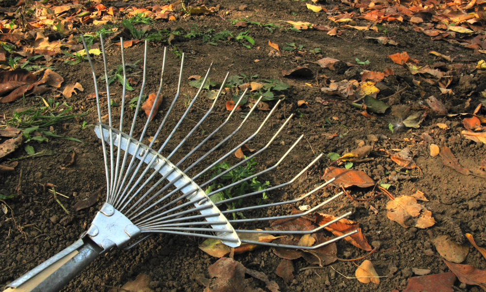 rake laying on the ground 