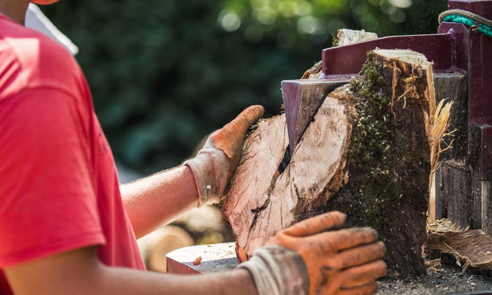 log splitter cutting a log in half