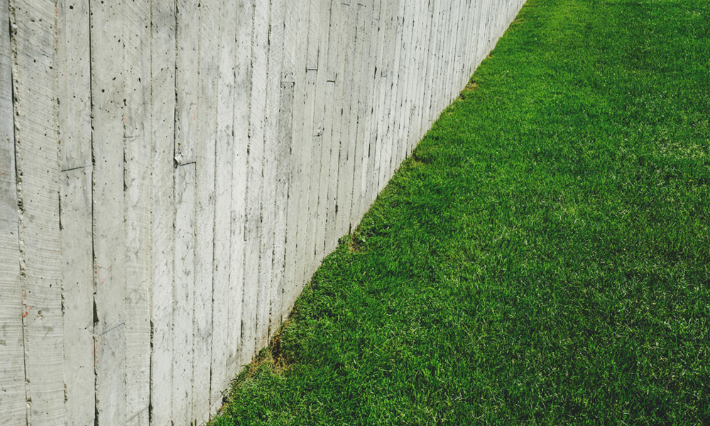 Green grass with a grey fence